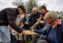 Frantoi Aperti in Umbria: parte la XXIX edizione