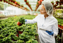 Il business delle agromafie raggiunge quota 25,2 miliardi di euro: l’allarme di Coldiretti sui reati agroalimentari