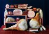 Cresce l’export dei salumi italiani in Ungheria: +9% in valore nel primo semestre 2026