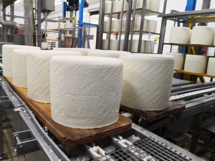 Pecorino Romano copia