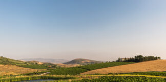 La Sicilia è stata nominata Regione Vinicola Internazionale dell’Anno 2026 da Wine Enthusiast