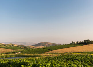 La Sicilia è stata nominata Regione Vinicola Internazionale dell’Anno 2026 da Wine Enthusiast