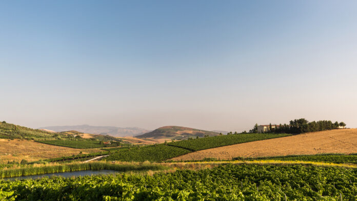 Sicilian landscape
