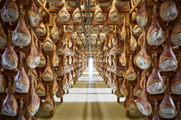 sandaniele_prosciuttifici_0085_3